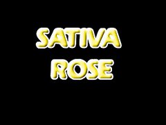Sativa Rose Meat My Ass